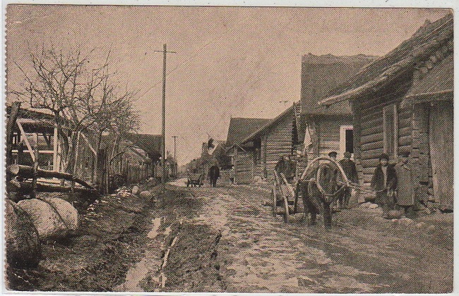 Решение по жалобе крестьян селений Ситница, Микашевичи и Вильча. 1868 год.